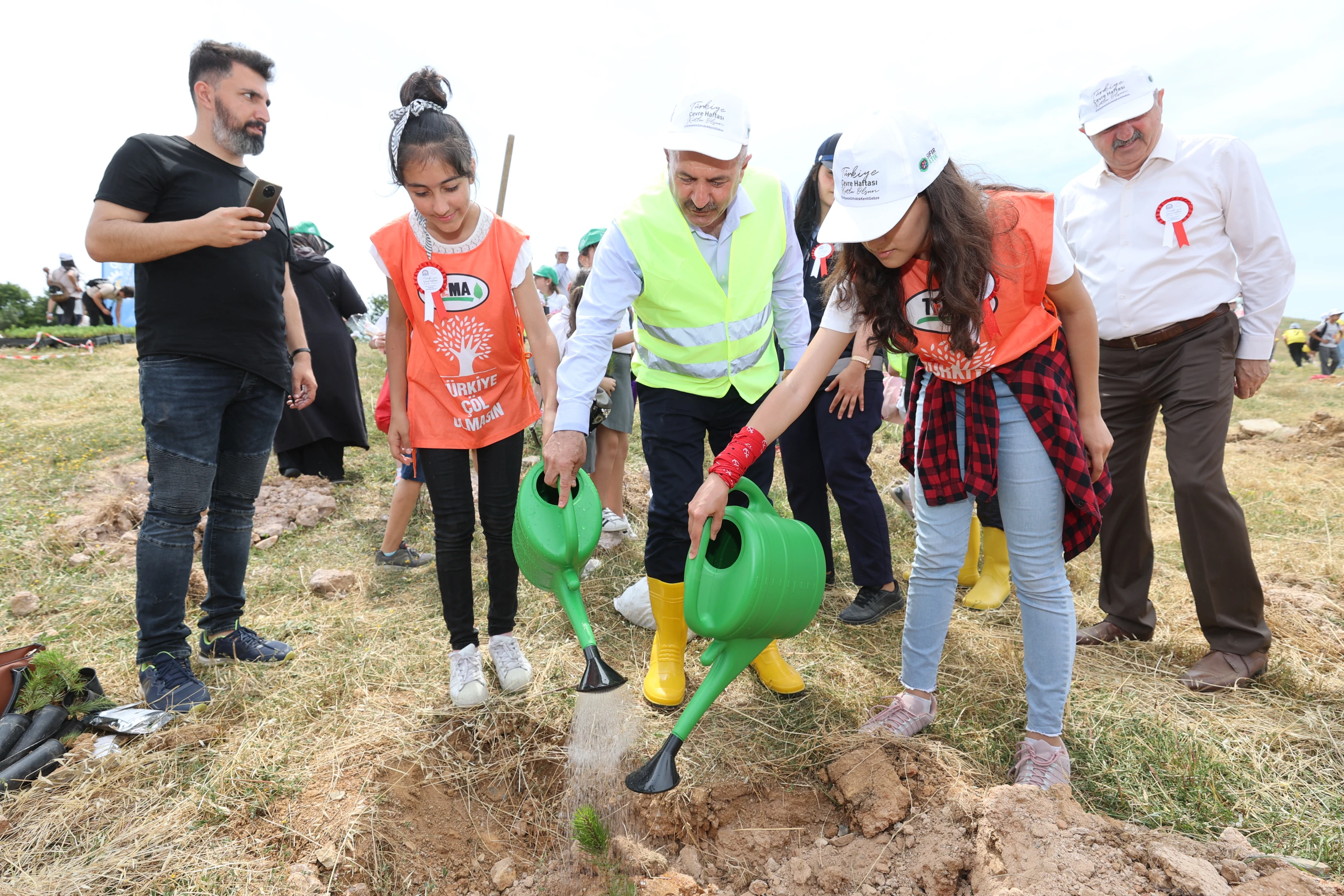 Ağaçlandırma ve Yeşil Alan Çalışmaları