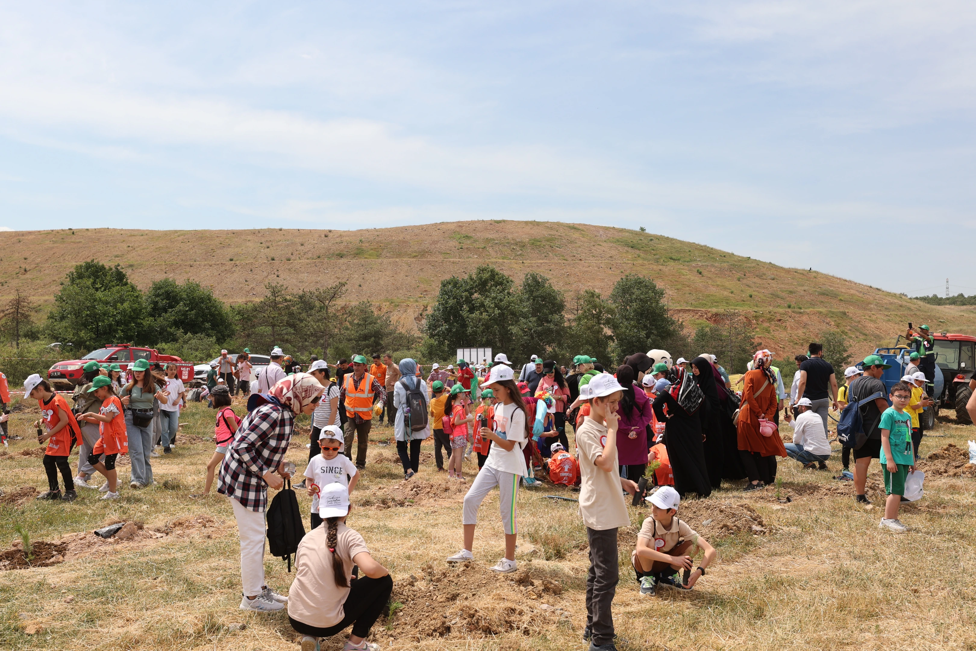Ağaçlandırma ve Yeşil Alan Çalışmaları