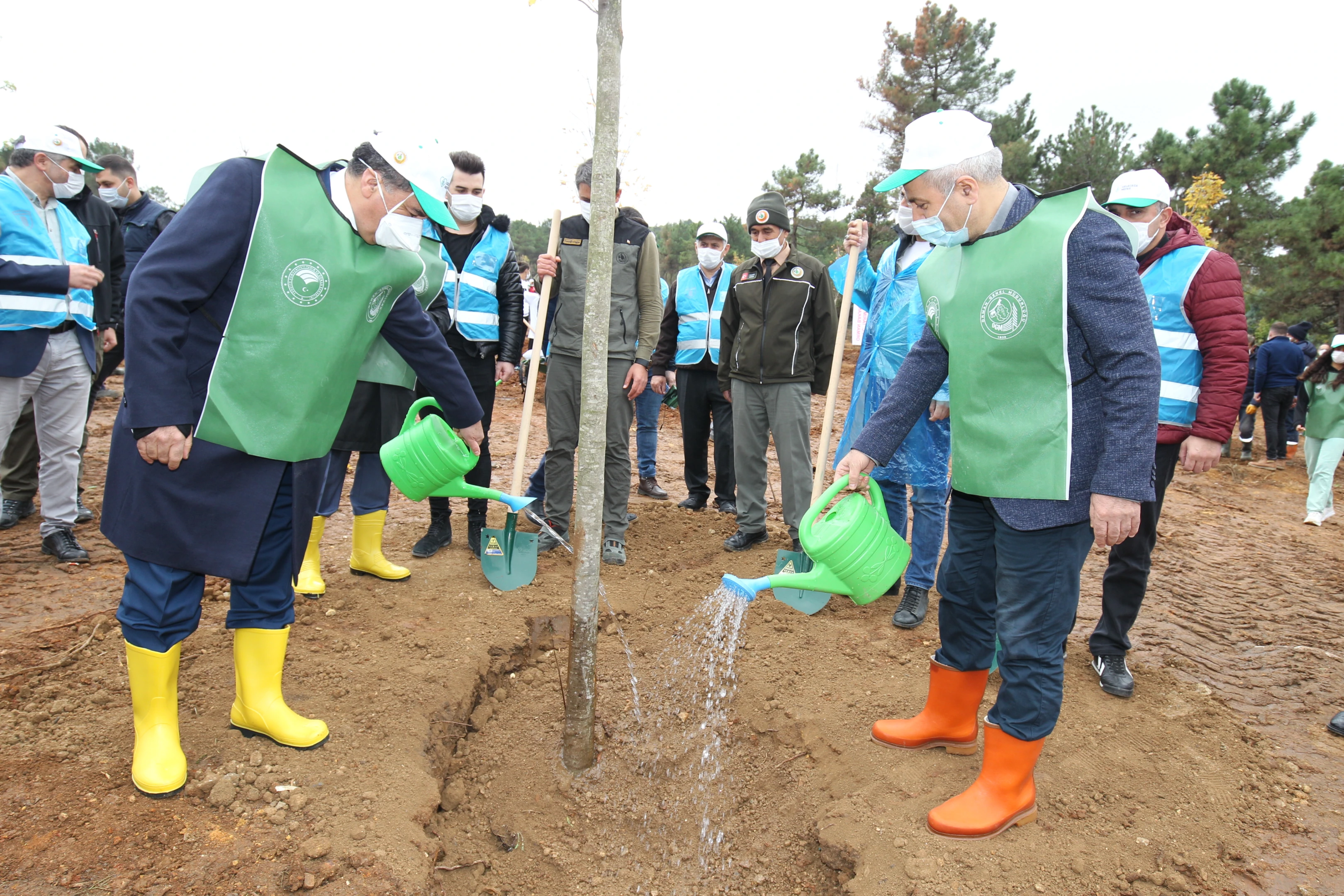 Ağaçlandırma ve Yeşil Alan Çalışmaları